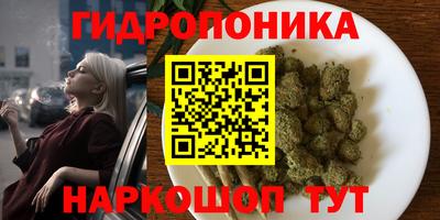 apvp Гусь-Хрустальный