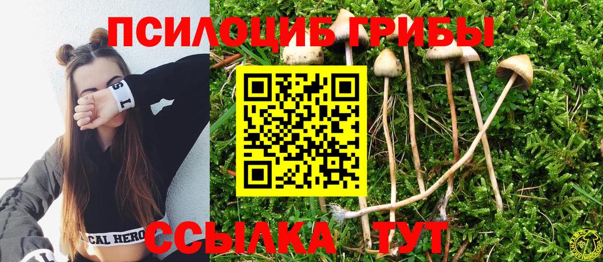 Псилоцибиновые грибы Magic Shrooms Касимов