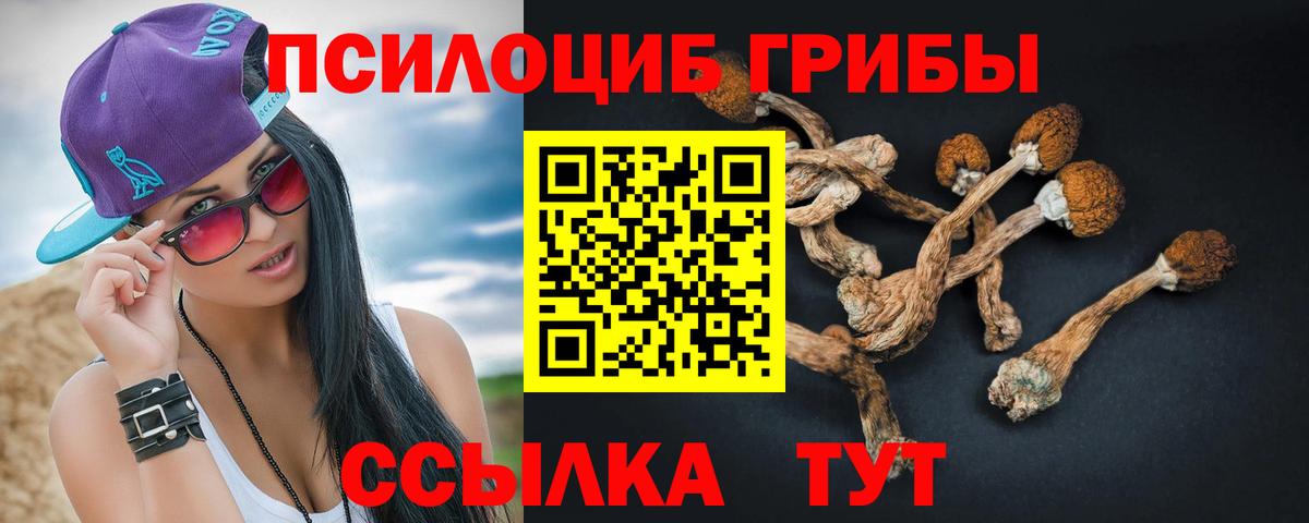 Галлюциногенные грибы Psilocybe  Вход с VPN  Псилоцибиновые грибы GOLDEN TEACHER  Касимов 